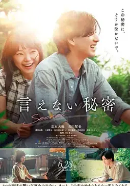 不能说的秘密海报