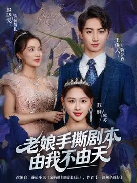 老娘手撕剧本由我不由天海报