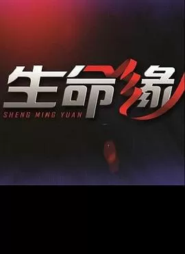 生命缘第四季海报