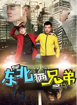 东北俩兄弟海报