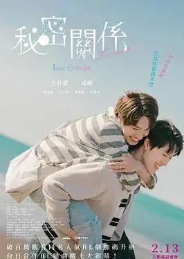 秘密关系:最后的约束海报