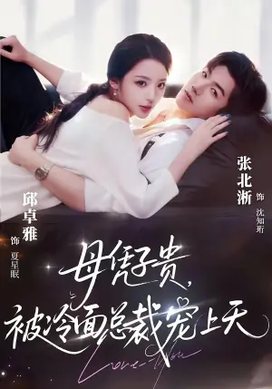 母凭子贵,被冷面总裁宠上天海报