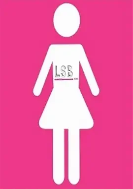 姬友当道第一季海报