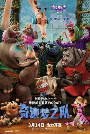 奇迹梦之队(国语)海报