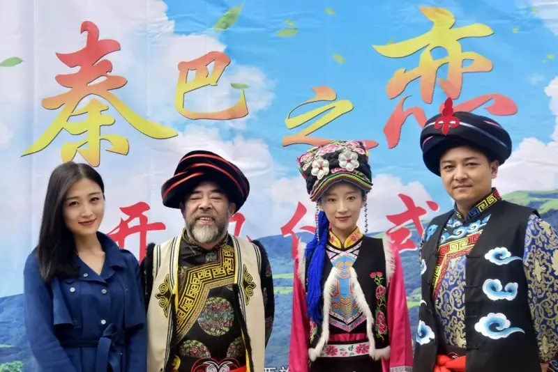 秦巴之恋海报