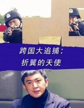 跨国大追捕:折翼的天使海报