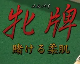牝牌(メスパイ)3賭ける柔肌牝牌賭ける柔肌海报