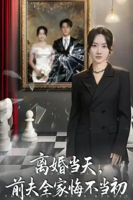 离婚当天前夫全家悔不当初海报