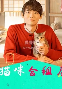 猫咪合租屋海报