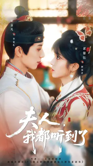 夫人,我都听到了海报