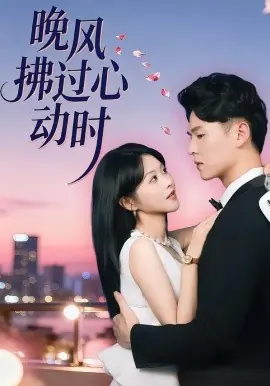 晚风拂过心动时海报