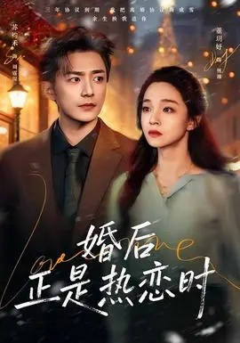 婚后正是热恋时海报
