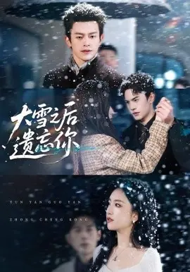 大雪之后遗忘你海报