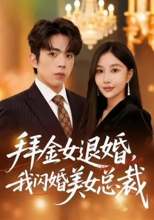 拜金女退婚,我闪婚美女总裁海报