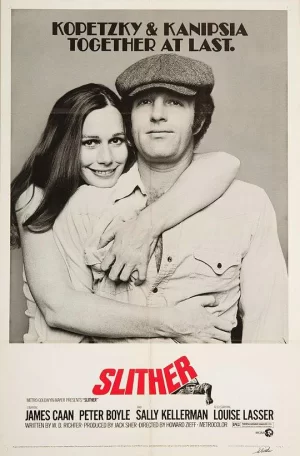 天涯大追赃海报