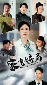 家有错局海报