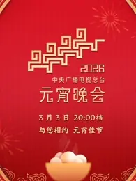 2026年中央广播电视总台元宵晚会海报