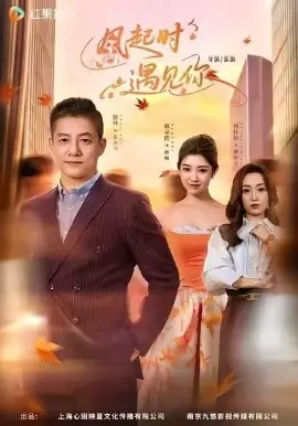 风起时遇见你海报