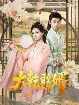 大乾憨婿海报