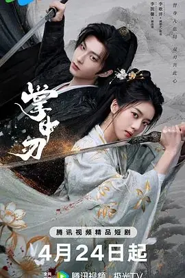 掌中刃海报