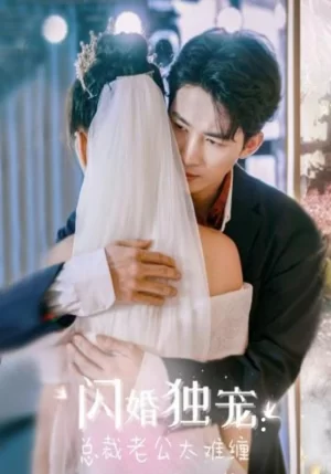 闪婚独宠总裁老公太难缠海报