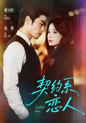 契约系恋人海报
