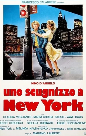 一个来自纽约的男孩海报