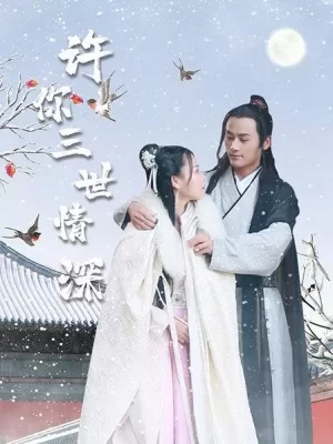 许你三世情深海报
