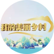 我的美丽乡村2023海报
