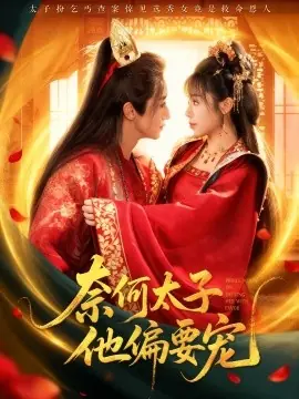 奈何太子他偏要宠海报