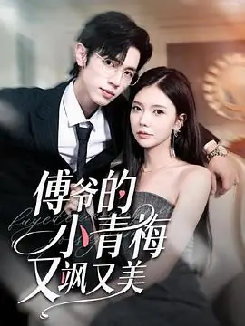 傅爷的小青梅又美又飒海报