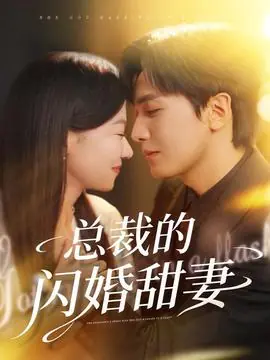 总裁的闪婚甜妻海报