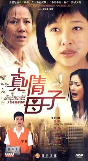 真情母子海报
