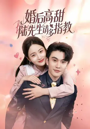 婚后高甜:陆先生请多指教海报