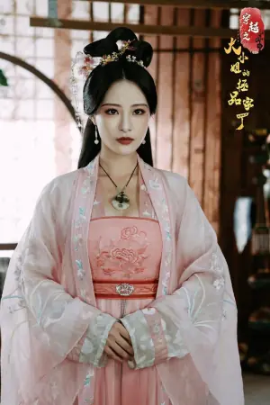 穿越之大小姐的极品家丁海报