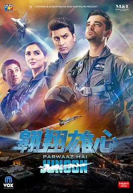 翱翔雄心(国语)海报