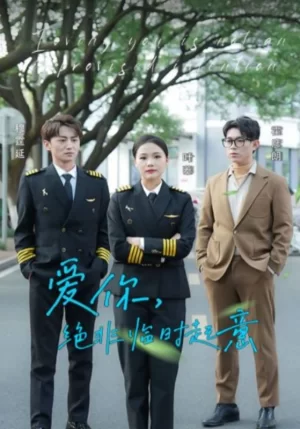 爱你绝非临时起意海报