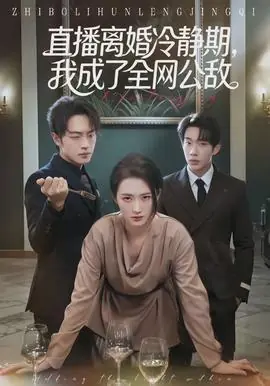 直播离婚冷静期,我成了全网公敌海报