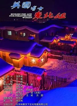 英国博士东北妞海报