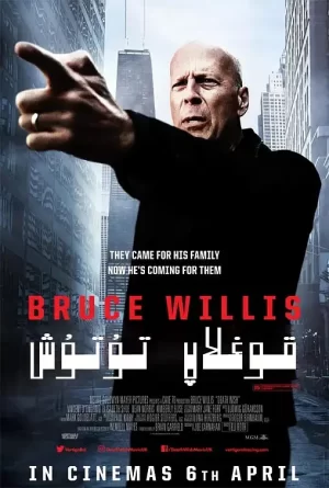 虎胆追凶[影视解说]海报