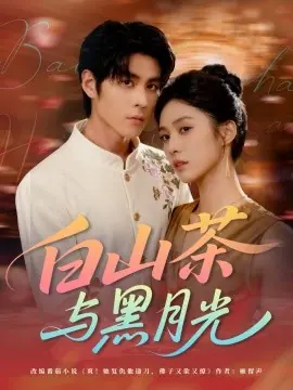 白山茶与黑月光海报