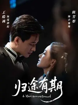 归途有期海报