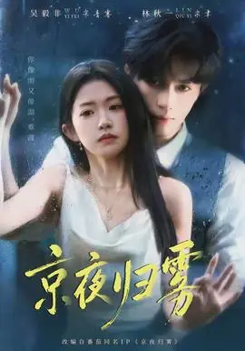 京夜归雾海报