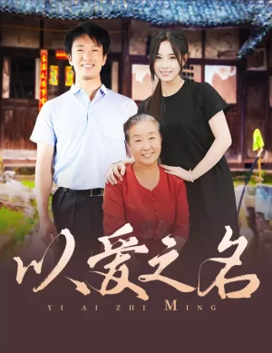 以爱之名海报