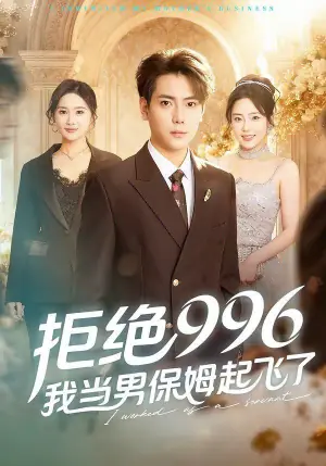 拒绝996,我当男保姆起飞了海报