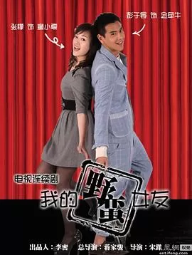 我的野蛮女友海报