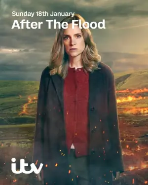洪水之后第二季海报