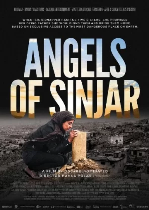 辛贾尔的天使海报