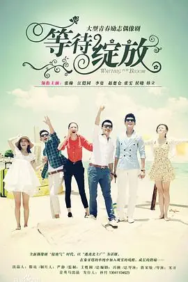 青春的颜色海报