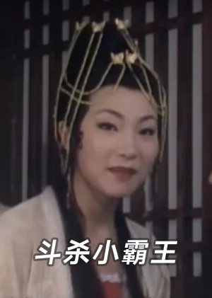 斗杀小霸王海报